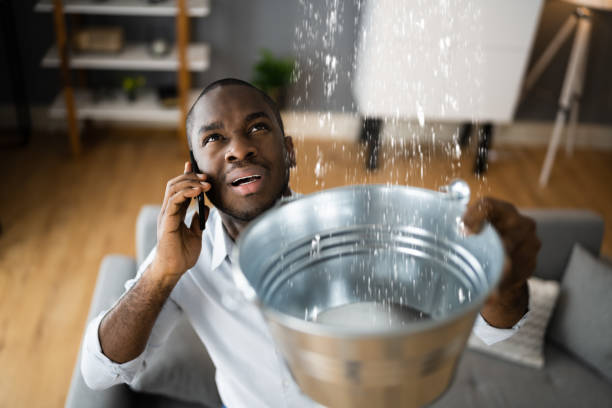 Best Flooded house restoration  in Mansfield, OH