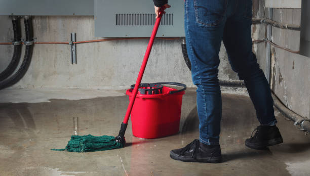 Best Local water damage restoration  in Mansfield, OH