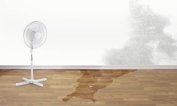 Best Local water damage restoration  in Mansfield, OH