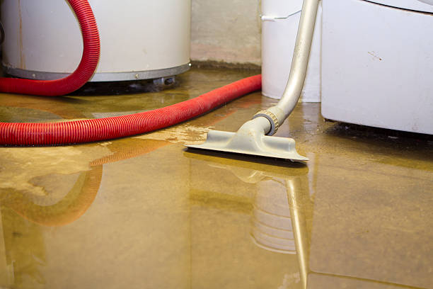 Best Flooded house restoration  in Mansfield, OH