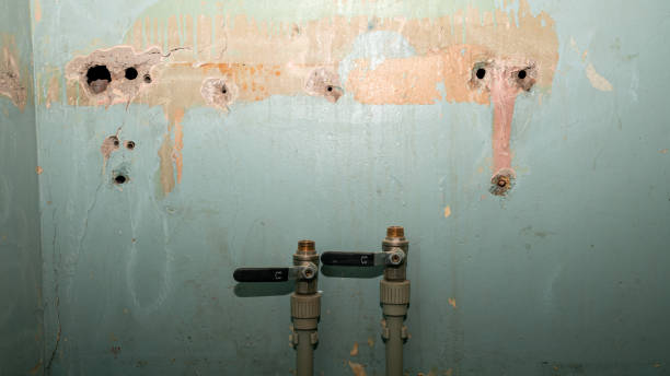 Best Water damage contractors near me  in Mansfield, OH